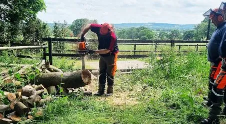 Chain sawing fallen tree.